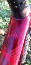 mtb bh carbon evo