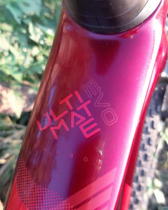 mtb bh carbon evo