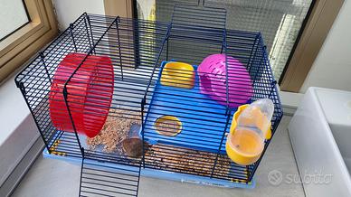 Gabbia Criceto o piccolo roditore 