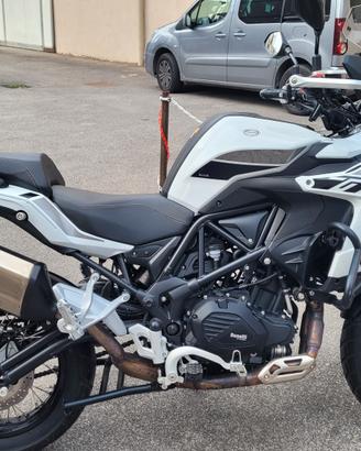 Benelli trk 502x targa polonia