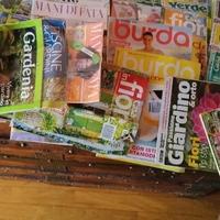 riviste solo mani di fata e Susanna 