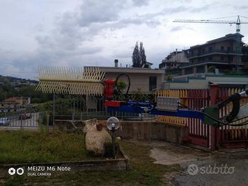 Pettine Raccolta Olive