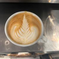 Barista