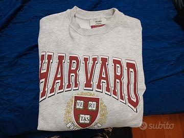 felpa HARVARD