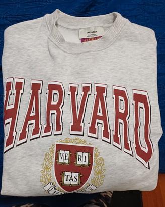 felpa HARVARD