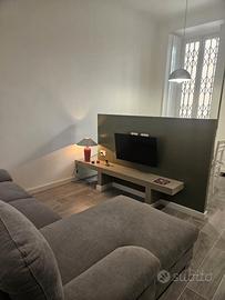 Bilocale appena ristrutturato