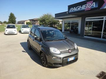 FIAT Panda 3ª serie Panda 1.0 FireFly S&S Hybr...