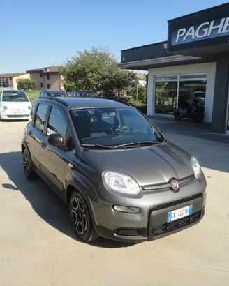 FIAT Panda 3ª serie Panda 1.0 FireFly S&S Hybr...