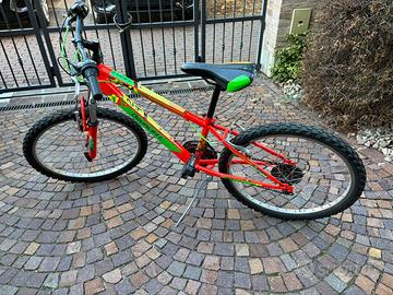 Bici ragazzo (24”)