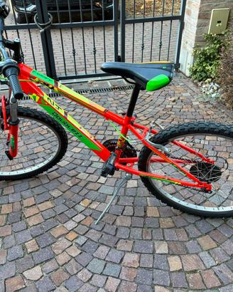 Bici ragazzo (24”)