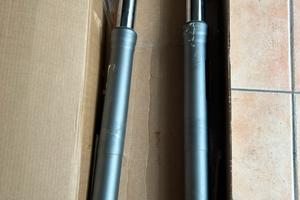 Forcelle anteriori Ducati