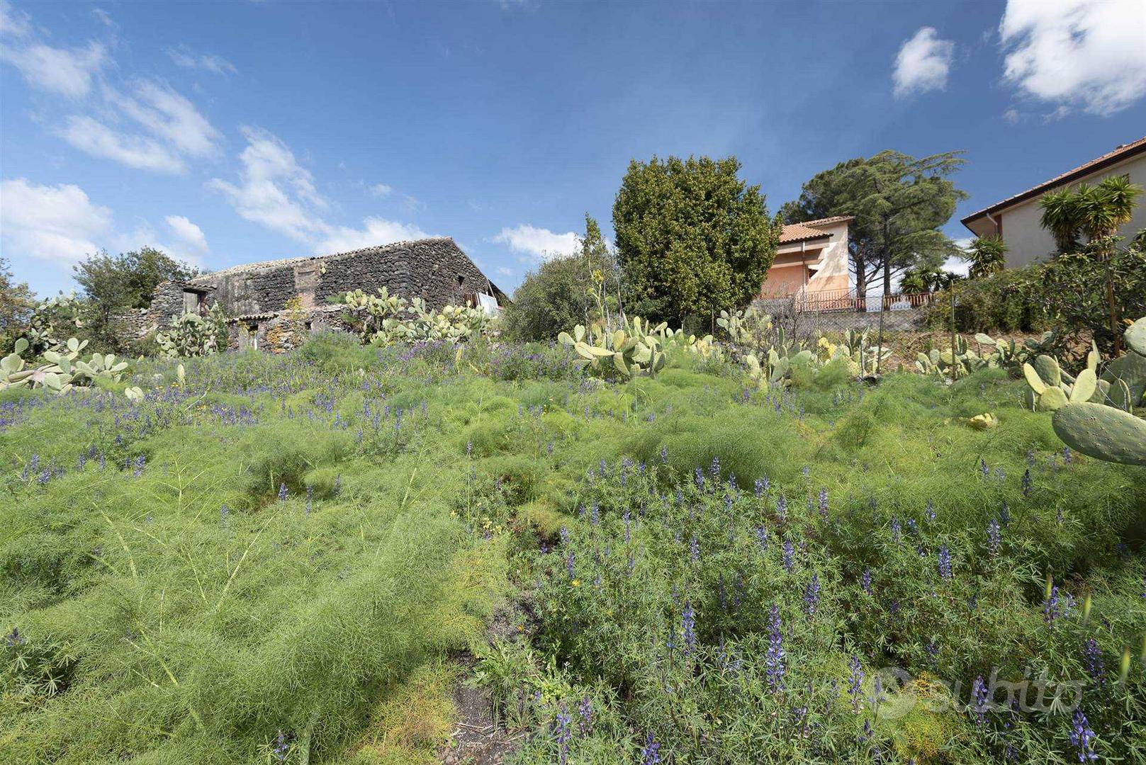 Rif.AL271- area edificabile pedara - Altro
