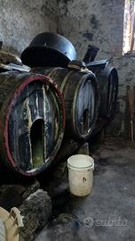 Botti in legno e pigiatrice con pompa  e tubi