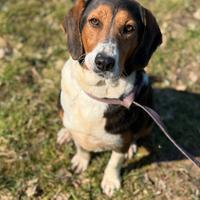 TALIA, meravigliosa coccolona