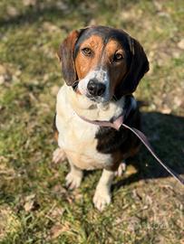 TALIA, meravigliosa coccolona