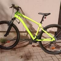 Bici mountain bike