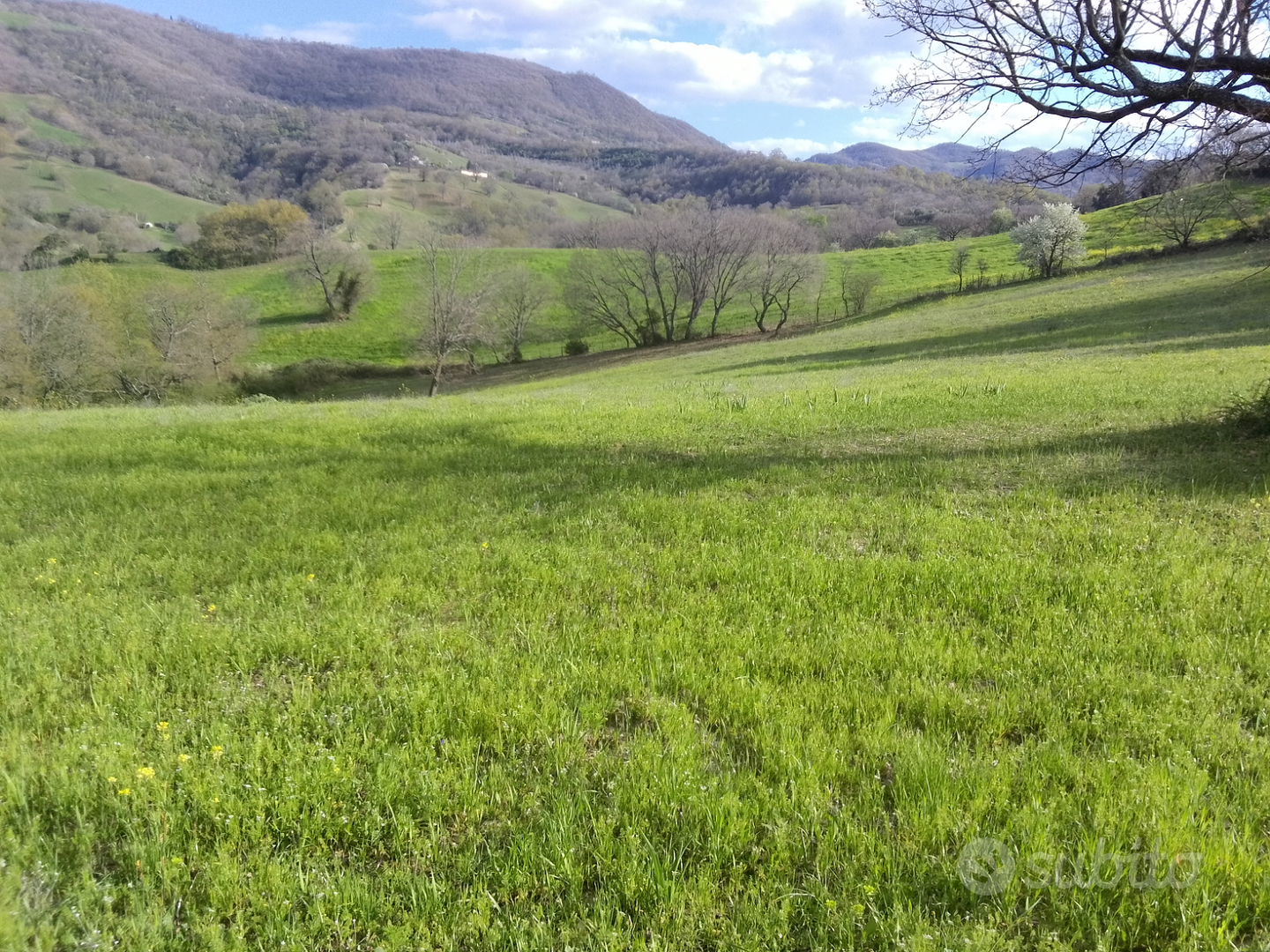Terreni seminativi e boschivi - Vista 5