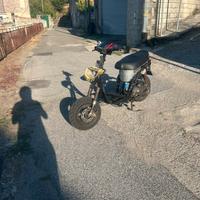 Typhoon 50/70cc 1993