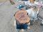 Immagine 1