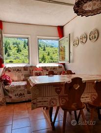 Passo del tonale a soli 300 metri dagli impianti