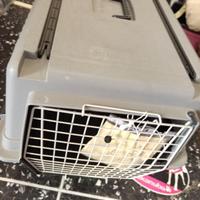 TRASPORTINO PER CANI 