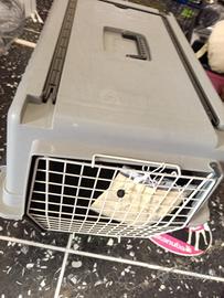 TRASPORTINO PER CANI 