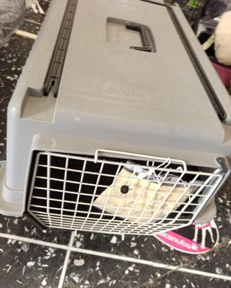 TRASPORTINO PER CANI 