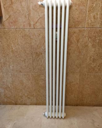Termosifone tubolare di arredo