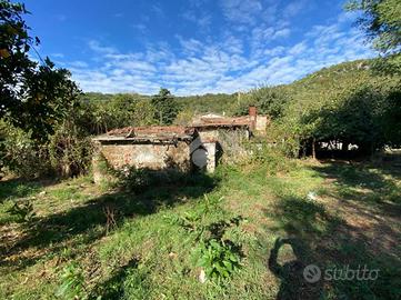 RUSTICO A TREVIGNANO ROMANO