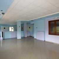 Immobile commerciale/agricolo