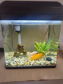 acquario Billy 16lt 