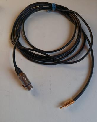 cavo xlr femmina e mini jack maschio