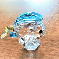 Swarovski, PESCE, TANG FISH BLUE