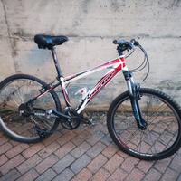 bici Vektor
