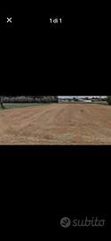 Terreno agricolo