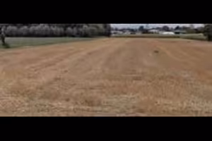 Terreno agricolo