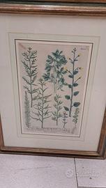 Stampe moderne