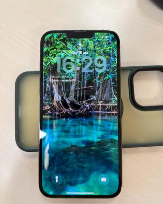Iphone 13 pro max 256gb
