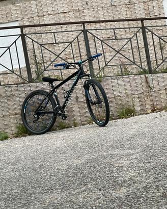 marin bobcat 7
