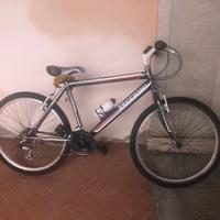Bicicletta da ragazzo