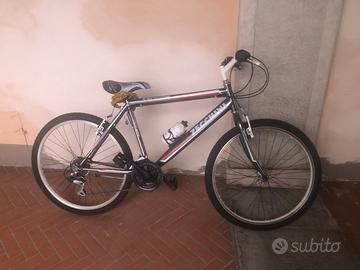 Bicicletta da ragazzo
