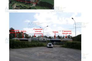 Tsmcv 2/2014 capannoni