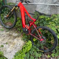 GIANT reign E+1 (2020)