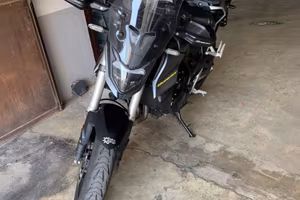 Honda hornet