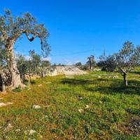 TER. AGRICOLO A NARDÒ