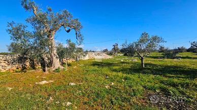 TER. AGRICOLO A NARDÒ