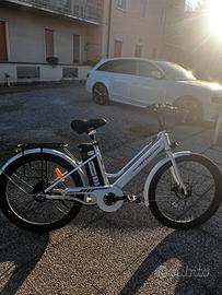 Bicicletta elettrica