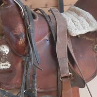 Sella cavallo Crates