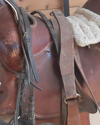 Sella cavallo Crates