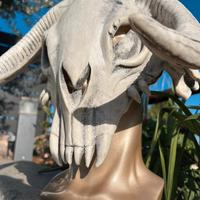 Maschera Teschio - Toro Bianco - 33x30 - lattice